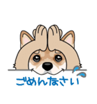 shiba@SURFBORDER（個別スタンプ：16）