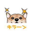 shiba@SURFBORDER（個別スタンプ：27）