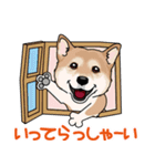 shiba@SURFBORDER（個別スタンプ：32）