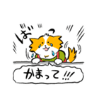 いぬごろ（個別スタンプ：40）