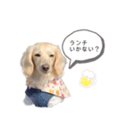 はなさんでつよ〜〜〜2（個別スタンプ：2）