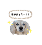 はなさんでつよ〜〜〜2（個別スタンプ：24）