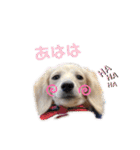 はなさんでつよ〜〜〜2（個別スタンプ：36）