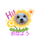 ぬまこさんちの仲間達♡（個別スタンプ：1）
