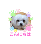 ぬまこさんちの仲間達♡（個別スタンプ：2）