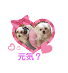 ぬまこさんちの仲間達♡（個別スタンプ：3）