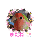 ぬまこさんちの仲間達♡（個別スタンプ：6）