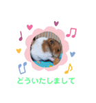 ぬまこさんちの仲間達♡（個別スタンプ：8）