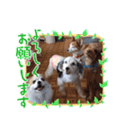 ぬまこさんちの仲間達♡（個別スタンプ：10）