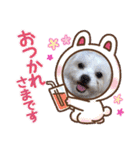 ぬまこさんちの仲間達♡（個別スタンプ：11）