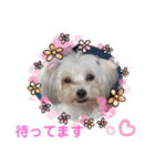 ぬまこさんちの仲間達♡（個別スタンプ：15）
