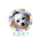 ぬまこさんちの仲間達♡（個別スタンプ：17）