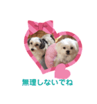ぬまこさんちの仲間達♡（個別スタンプ：18）