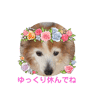 ぬまこさんちの仲間達♡（個別スタンプ：19）