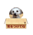 ぬまこさんちの仲間達♡（個別スタンプ：20）