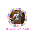 ぬまこさんちの仲間達♡（個別スタンプ：21）