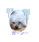 ぬまこさんちの仲間達♡（個別スタンプ：23）