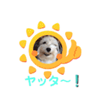 ぬまこさんちの仲間達♡（個別スタンプ：24）