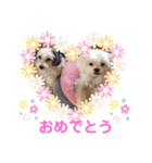ぬまこさんちの仲間達♡（個別スタンプ：25）