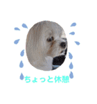 ぬまこさんちの仲間達♡（個別スタンプ：26）