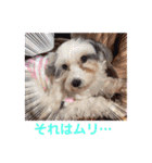 ぬまこさんちの仲間達♡（個別スタンプ：28）