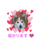 ぬまこさんちの仲間達♡（個別スタンプ：29）