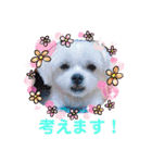 ぬまこさんちの仲間達♡（個別スタンプ：30）