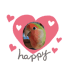 ぬまこさんちの仲間達♡（個別スタンプ：33）
