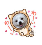 ぬまこさんちの仲間達♡（個別スタンプ：35）