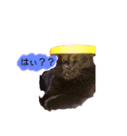 Ameyaあいさつ編（個別スタンプ：2）
