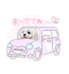 チワマル ジュエラのスタンプ（個別スタンプ：9）