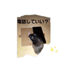 クロン♥️スタンプ      特別番（個別スタンプ：9）