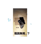 クロン♥️スタンプ      特別番（個別スタンプ：10）