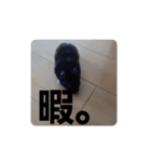 クロン♥️スタンプ      特別番（個別スタンプ：17）