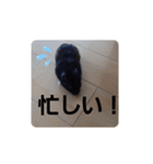 クロン♥️スタンプ      特別番（個別スタンプ：18）
