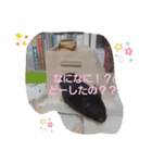 クロン♥️スタンプ      特別番（個別スタンプ：30）