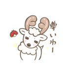 奈良の白鹿さん2（個別スタンプ：30）