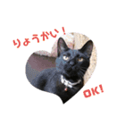 愛しのニャンズすたんぷ 4（個別スタンプ：2）