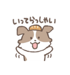 犬のモカ まいにちスタンプresize ver.（個別スタンプ：15）