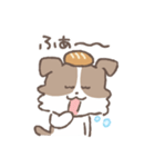 犬のモカ まいにちスタンプresize ver.（個別スタンプ：36）