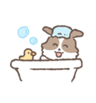 犬のモカ まいにちスタンプresize ver.（個別スタンプ：37）