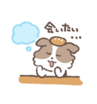 犬のモカ まいにちスタンプresize ver.（個別スタンプ：40）