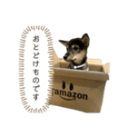黒柴犬パピーのルークくん（個別スタンプ：16）