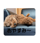 ラテスタ（個別スタンプ：8）