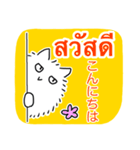 タイ語日本語トークとふわふわ猫（個別スタンプ：1）