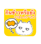 タイ語日本語トークとふわふわ猫（個別スタンプ：13）