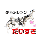 仲良しダルメシアン【茶色いおまけ付き】（個別スタンプ：1）