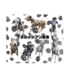 仲良しダルメシアン【茶色いおまけ付き】（個別スタンプ：3）
