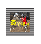 仲良しダルメシアン【茶色いおまけ付き】（個別スタンプ：20）