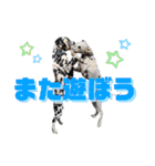 仲良しダルメシアン【茶色いおまけ付き】（個別スタンプ：29）